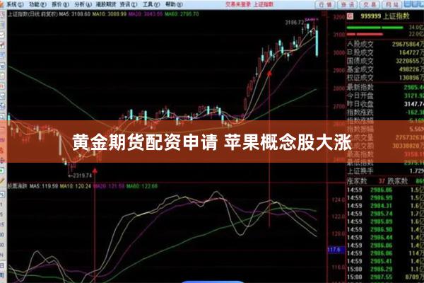 黄金期货配资申请 苹果概念股大涨